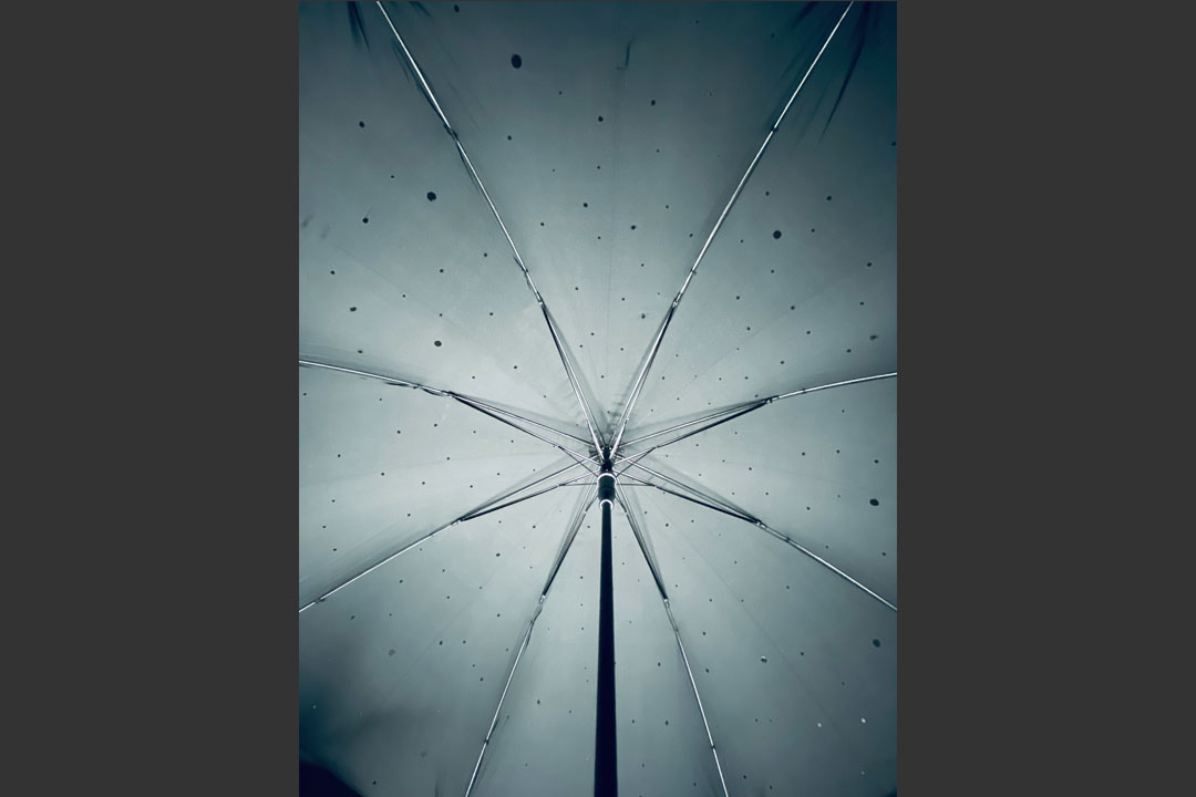 UmbrellatoriumPara1
